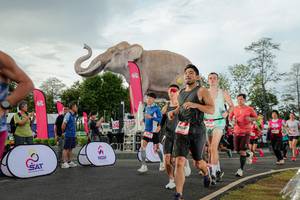 BIB: 
                            <button type="button" onclick="openModal(26528298)" class="btn btn-primary btn-sm float-right btn-popup" data-toggle="modal" data-target=".modal-high-quality">
                        <i class="fas fa-shopping-cart"></i> Add to Cart
                    </button>
                                            <button type="button" onclick="isThisMe(26528298, true)" class="btn btn-success btn-sm float-right btn-popup btn-isme hidden" data-toggle="tooltip" data-placement="bottom" title="นี่คือรูปของคุณใช่ไหม คลิกที่นี่เพื่อเอาเข้าอัลบั้ม">
                        <i class="fas fa-plus"></i> Add to album
                    </button>
                    <button type="button" onclick="isThisMe(26528298, false)" class="btn btn-warning btn-sm float-right btn-popup btn-isnotme hidden">
                        <i class="fas fa-ban"></i> Remove from album
                    </button>